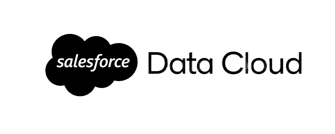 Salesforce Data Cloud