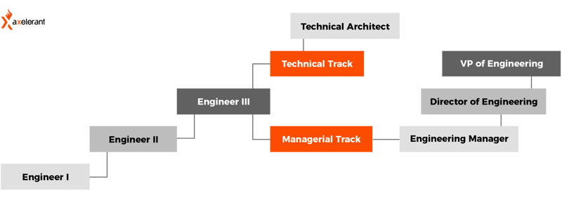 Axelerant Career Ladder