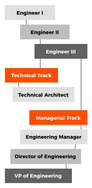 Axelerant Career Ladder