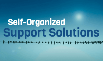 Agile Drupal Support Teams Like Ours Are Self-Organized