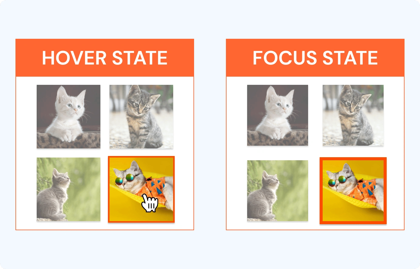 focus_state