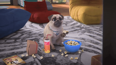 giphy-Mar-17-2023-01-25-02-1255-PM