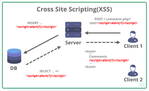 Cross Site Scripting (XSS)