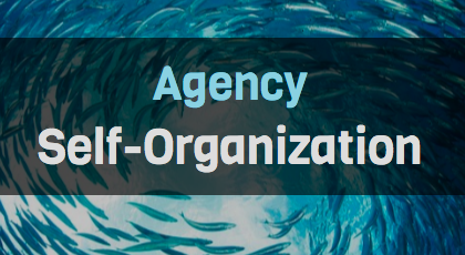 Self-Organization Within Digital Agency Teams