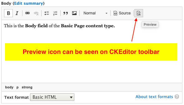 Preview icon can be seen on CKEditor toolbar 