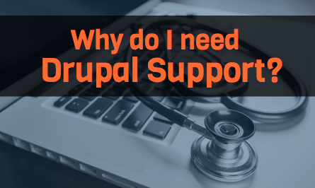 Why Do We Need Drupal Support?