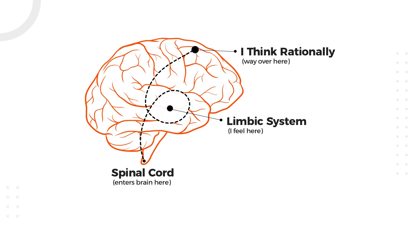 Emotional Intelligence 2