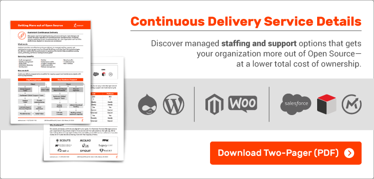 Continuous Delivery Staffing & Support