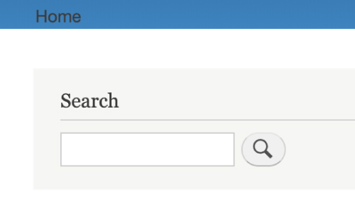 search bar in home screen