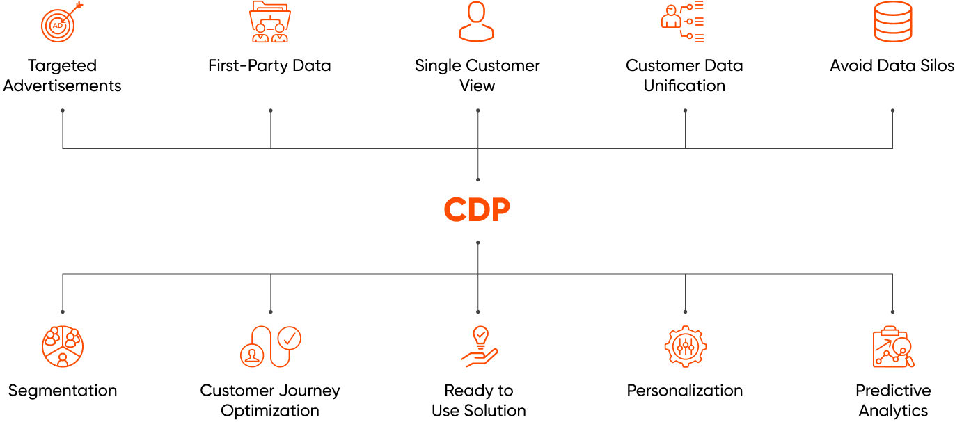 What Can A CDP Do For You