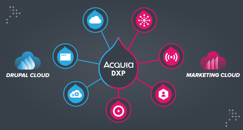 How Acquia DXP Is Empowering Businesses To Design Digital Experiences