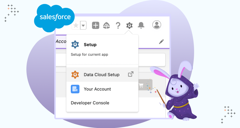 How To Set Up Salesforce Data Cloud